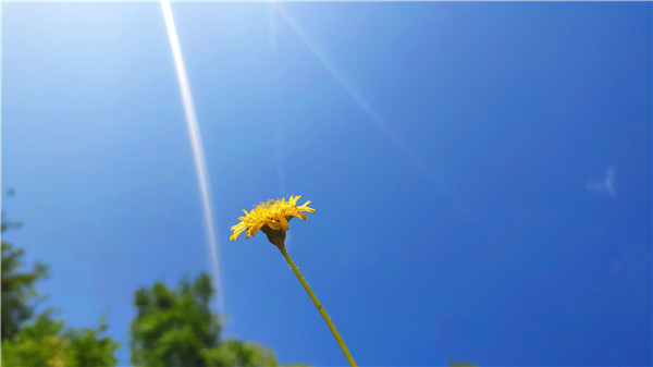20190815123105_65825.jpg